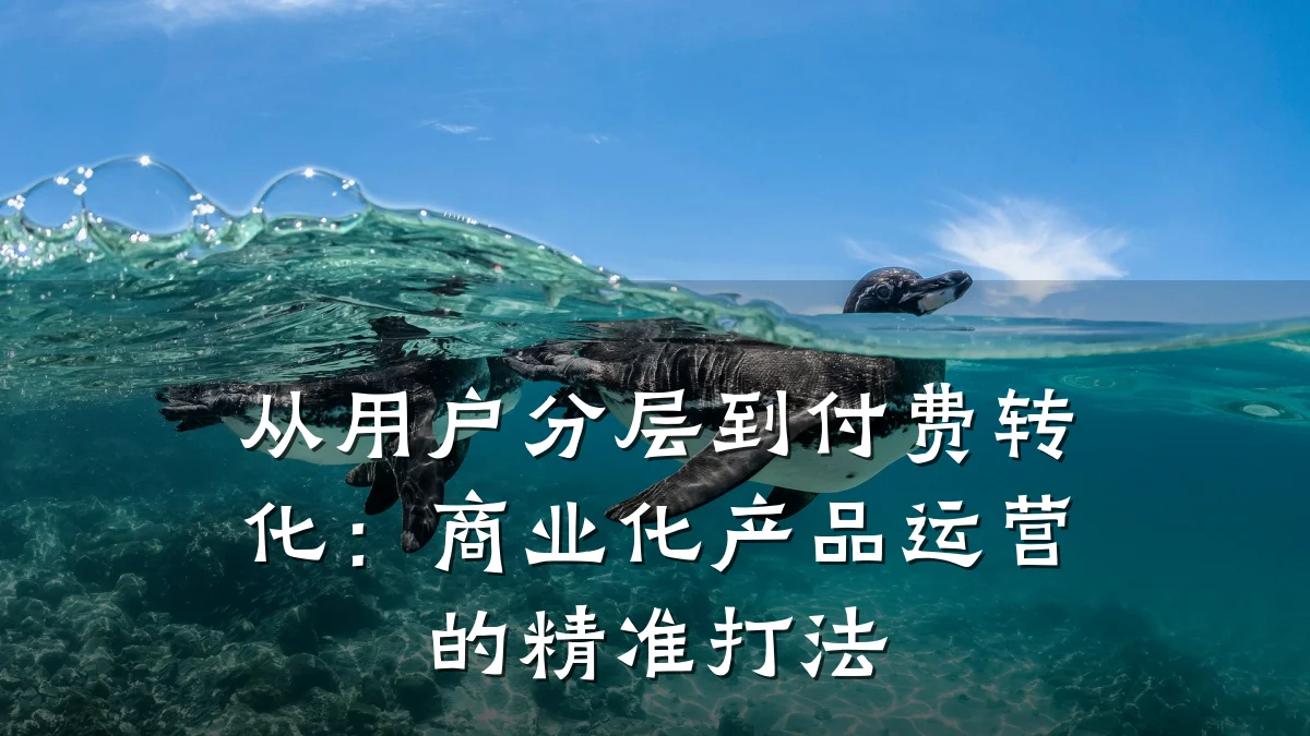 从用户分层到付费转化：商业化产品运营的精准打法