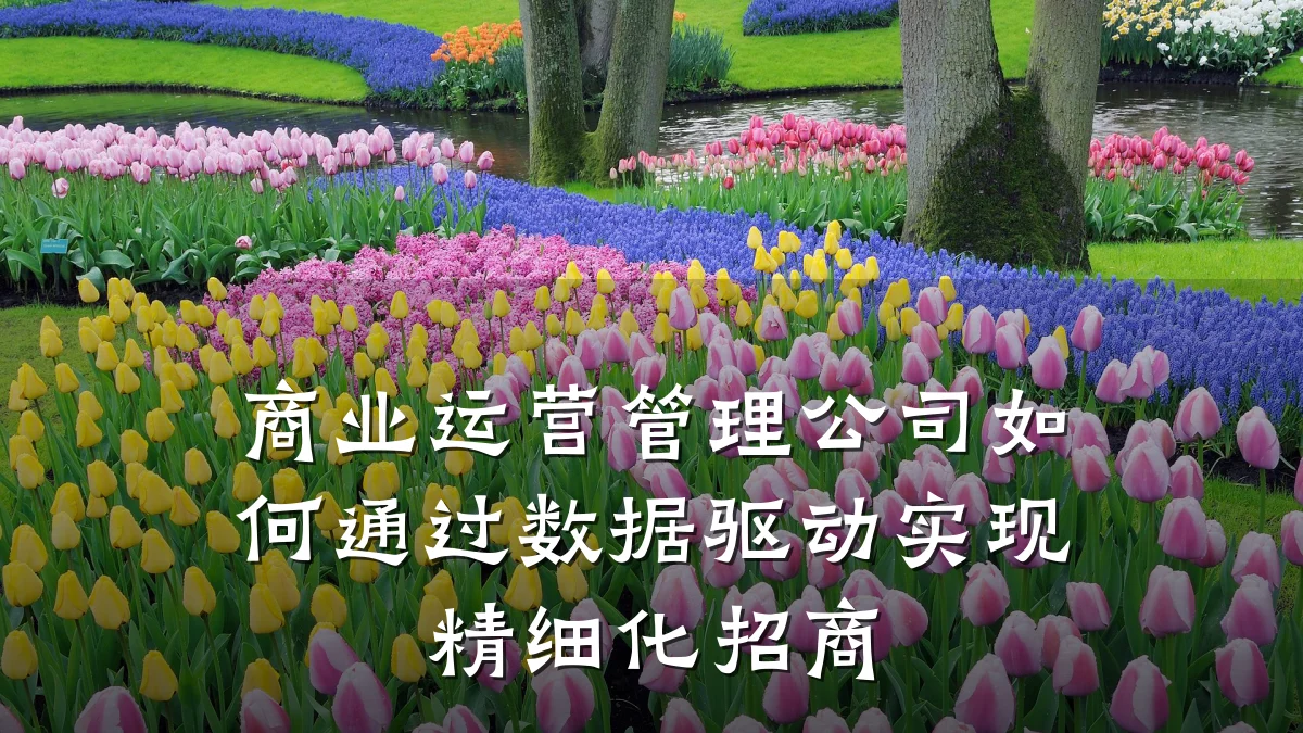 商业运营管理公司如何通过数据驱动实现精细化招商