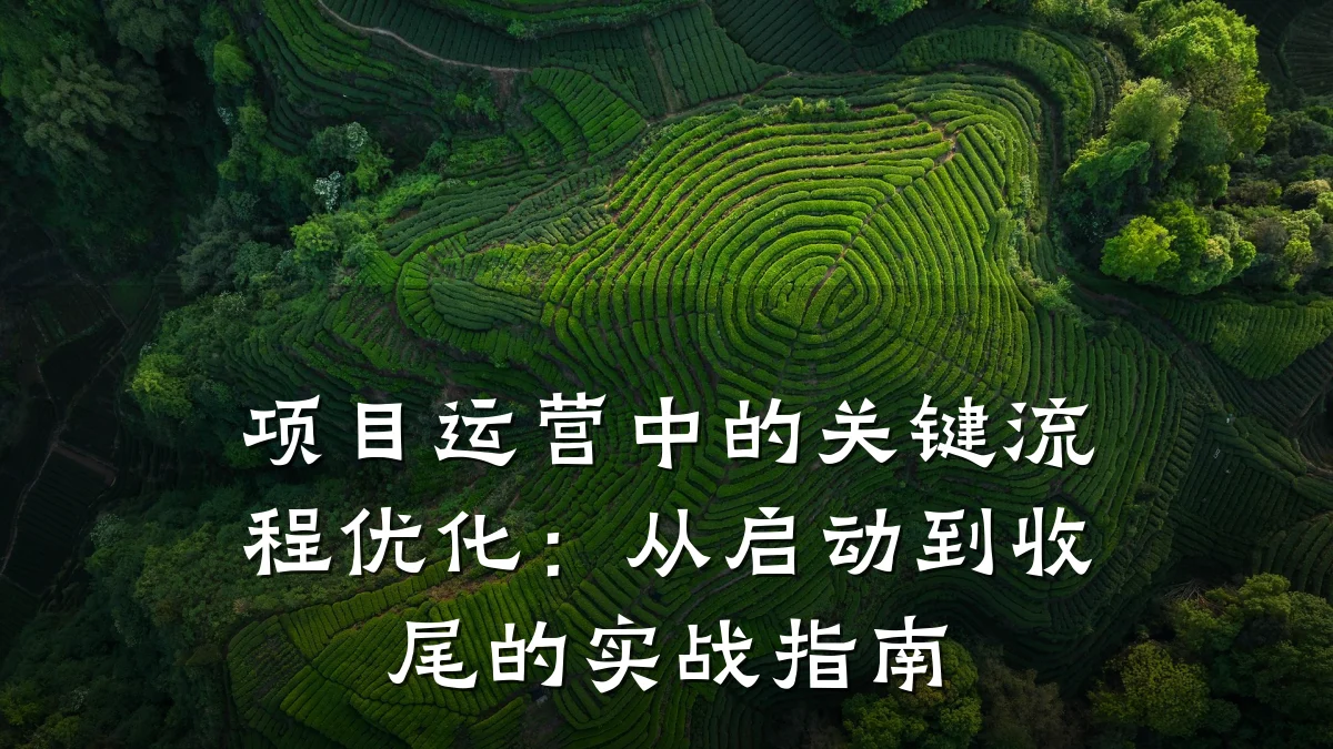 项目运营中的关键流程优化:从启动到收尾的实战指南