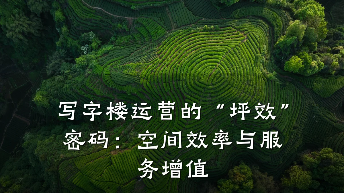 写字楼运营的“坪效”密码:空间效率与服务增值
