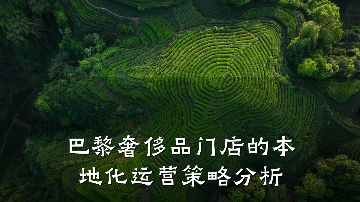 巴黎奢侈品门店的本地化运营策略分析