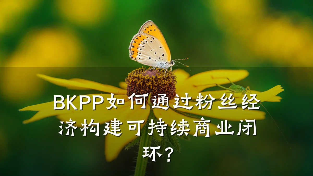 BKPP如何通过粉丝经济构建可持续商业闭环?