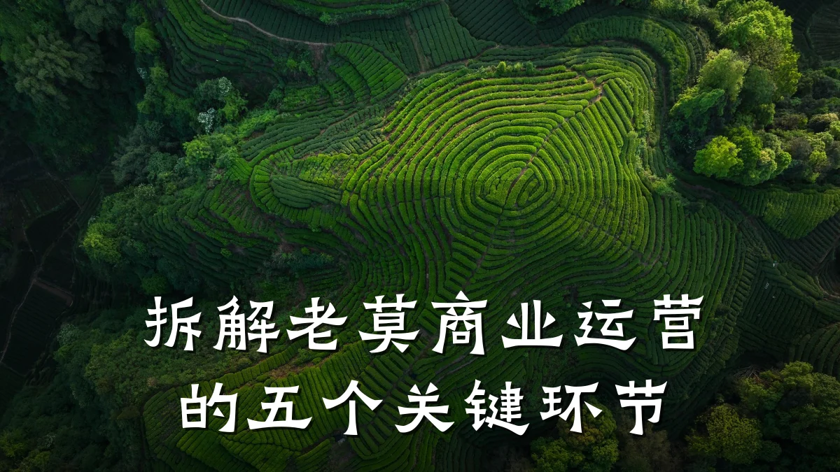 拆解老莫商业运营的五个关键环节