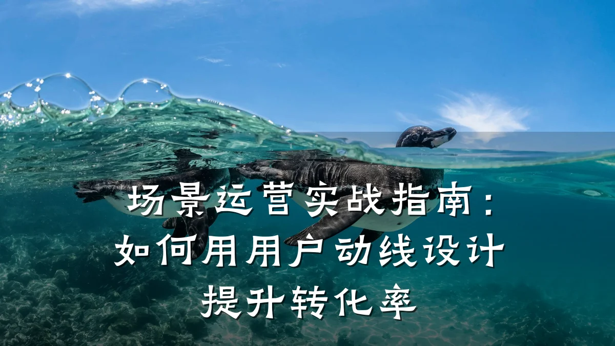 场景运营实战指南:如何用用户动线设计提升转化率