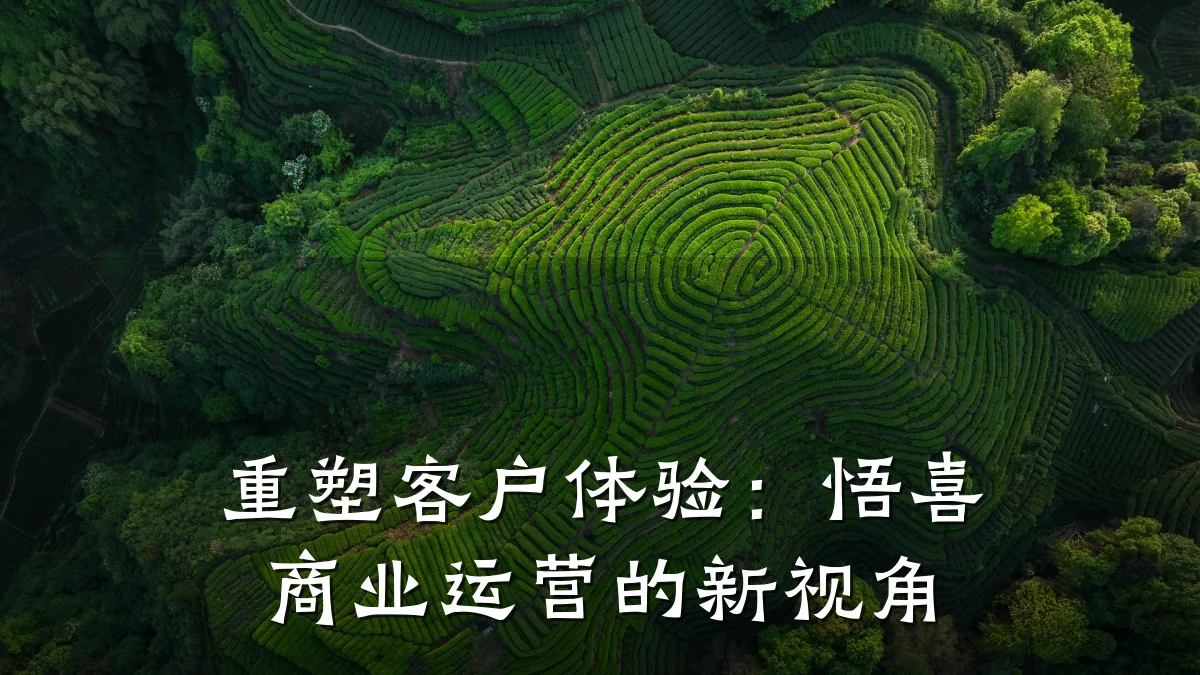 重塑客户体验:悟喜商业运营的新视角