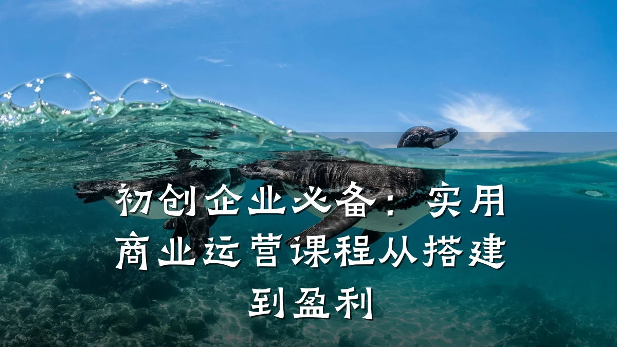 初创企业必备:实用商业运营课程从搭建到盈利