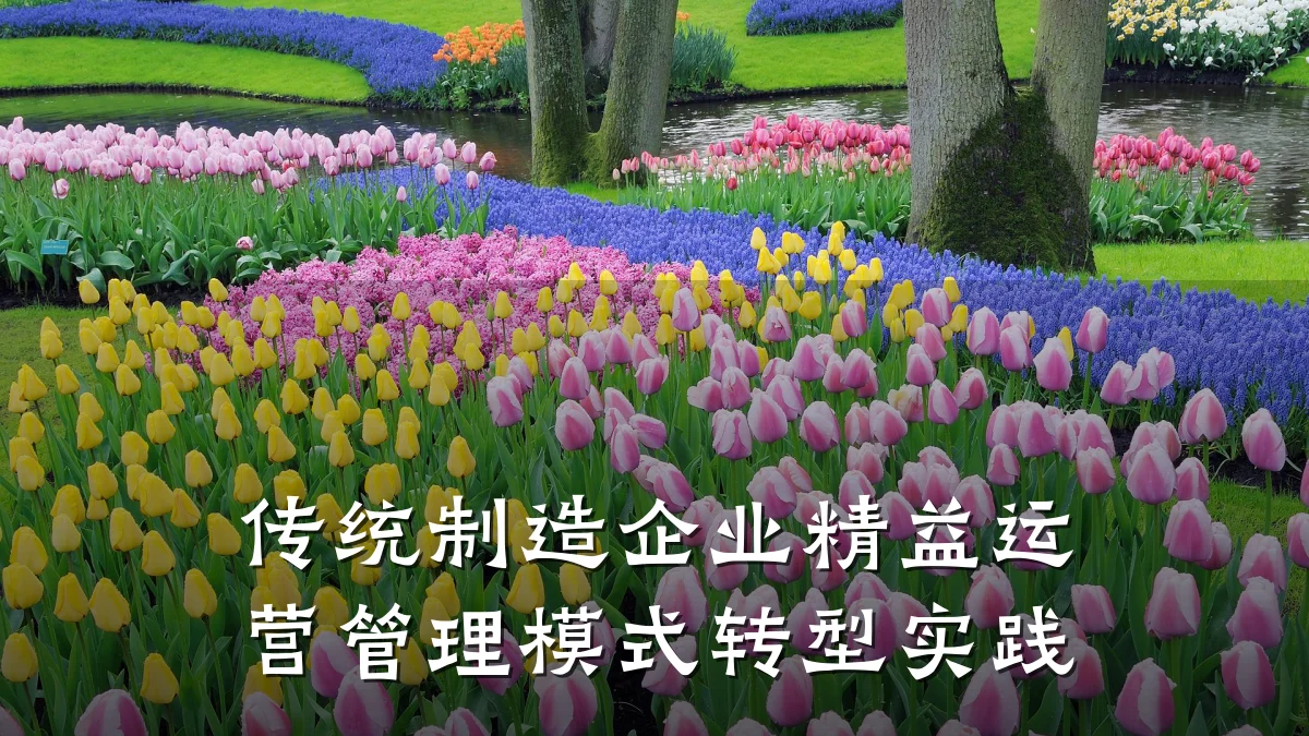 传统制造企业精益运营管理模式转型实践