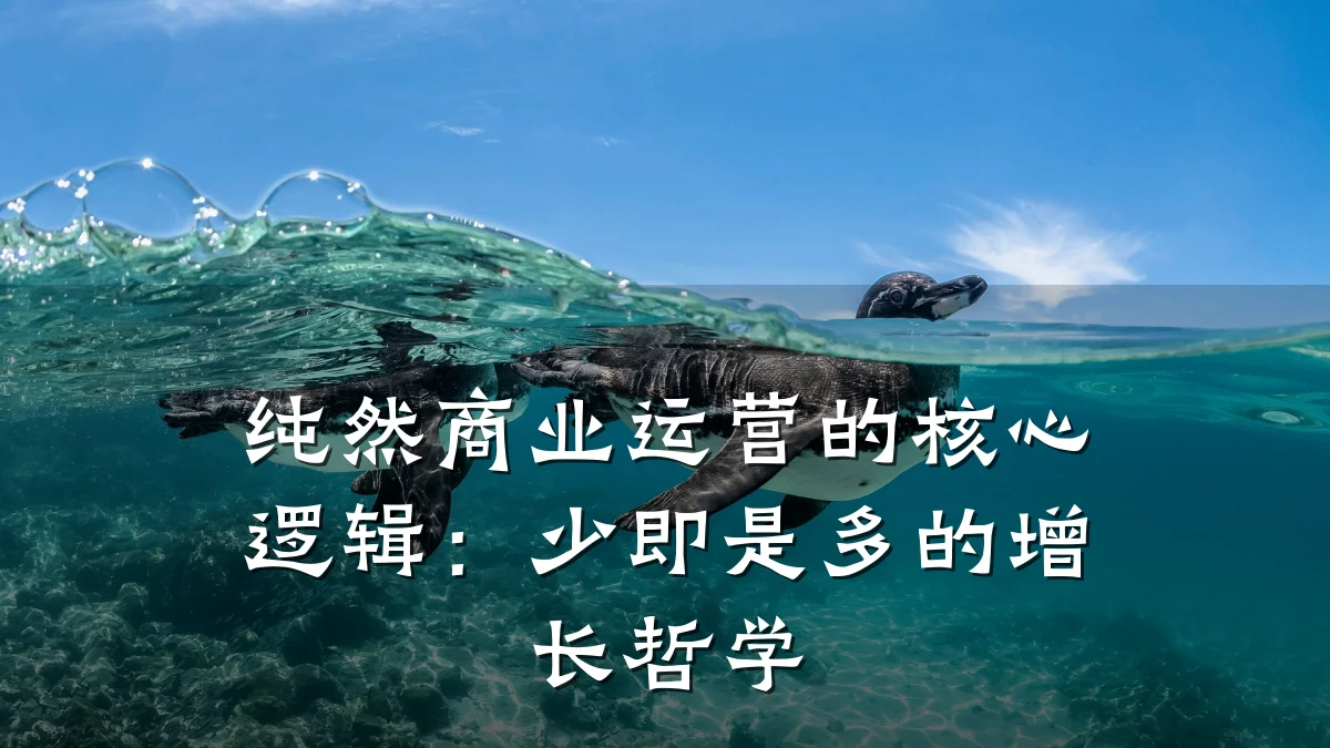 纯然商业运营的核心逻辑:少即是多的增长哲学