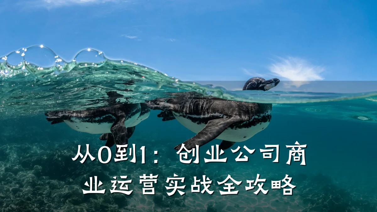 从0到1:创业公司商业运营实战全攻略