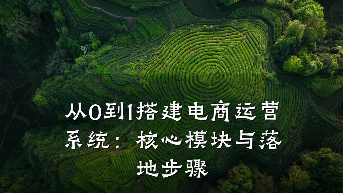 从0到1搭建电商运营系统:核心模块与落地步骤