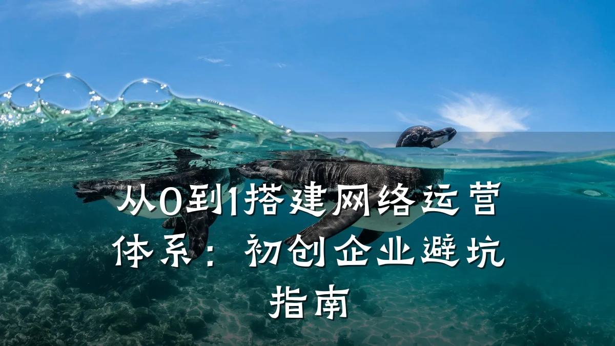 从0到1搭建网络运营体系:初创企业避坑指南