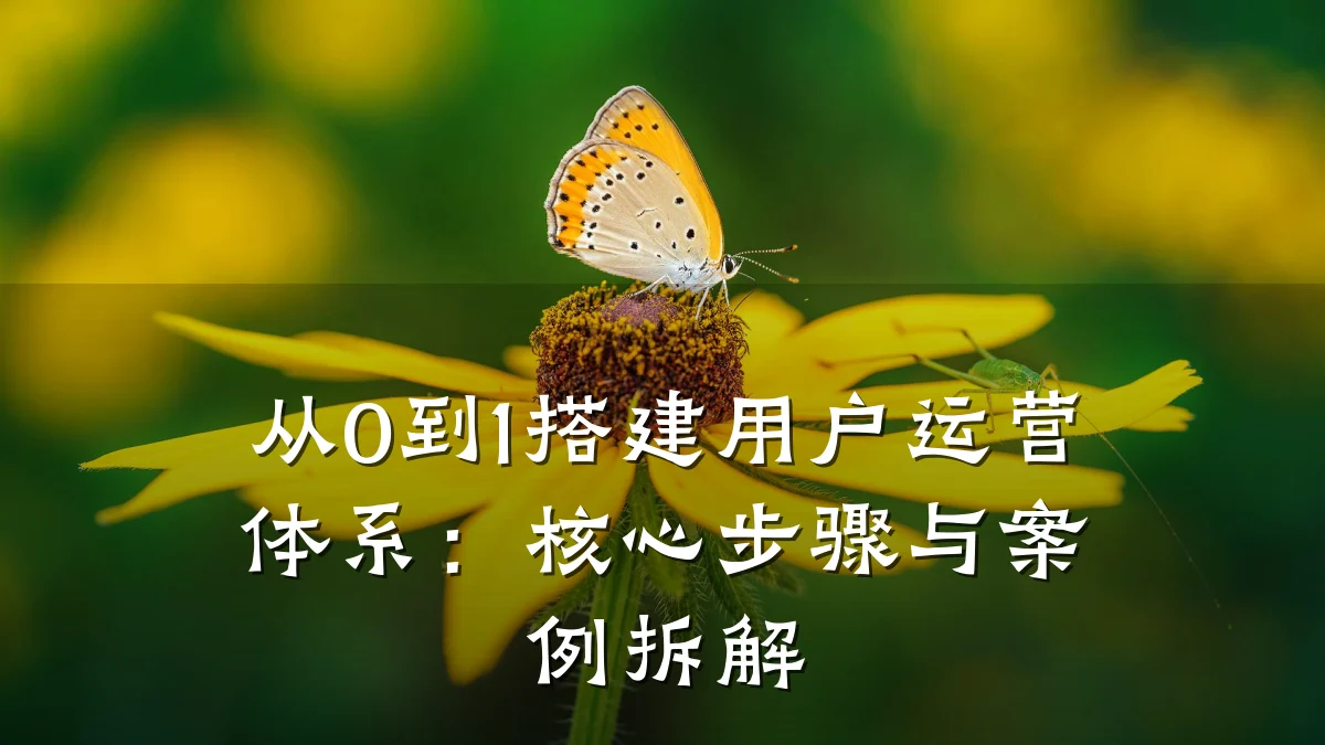 从0到1搭建用户运营体系:核心步骤与案例拆解