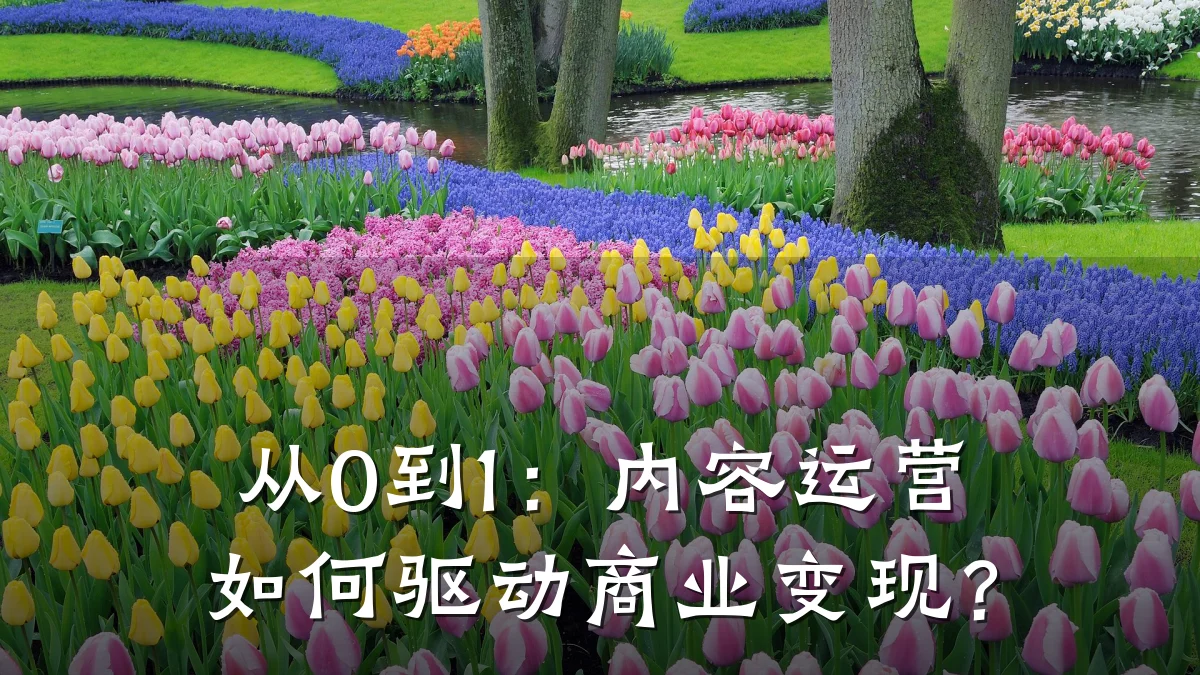 从0到1:内容运营如何驱动商业变现?