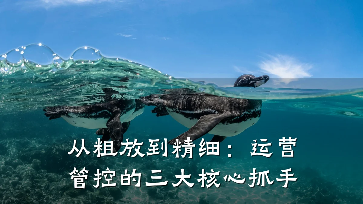从粗放到精细:运营管控的三大核心抓手