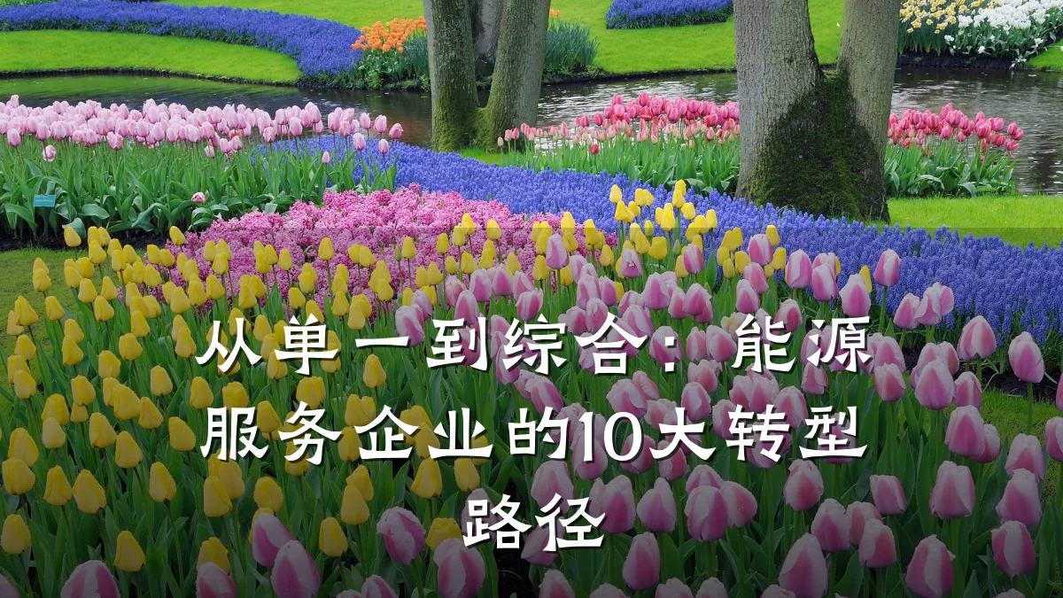 从单一到综合:能源服务企业的10大转型路径