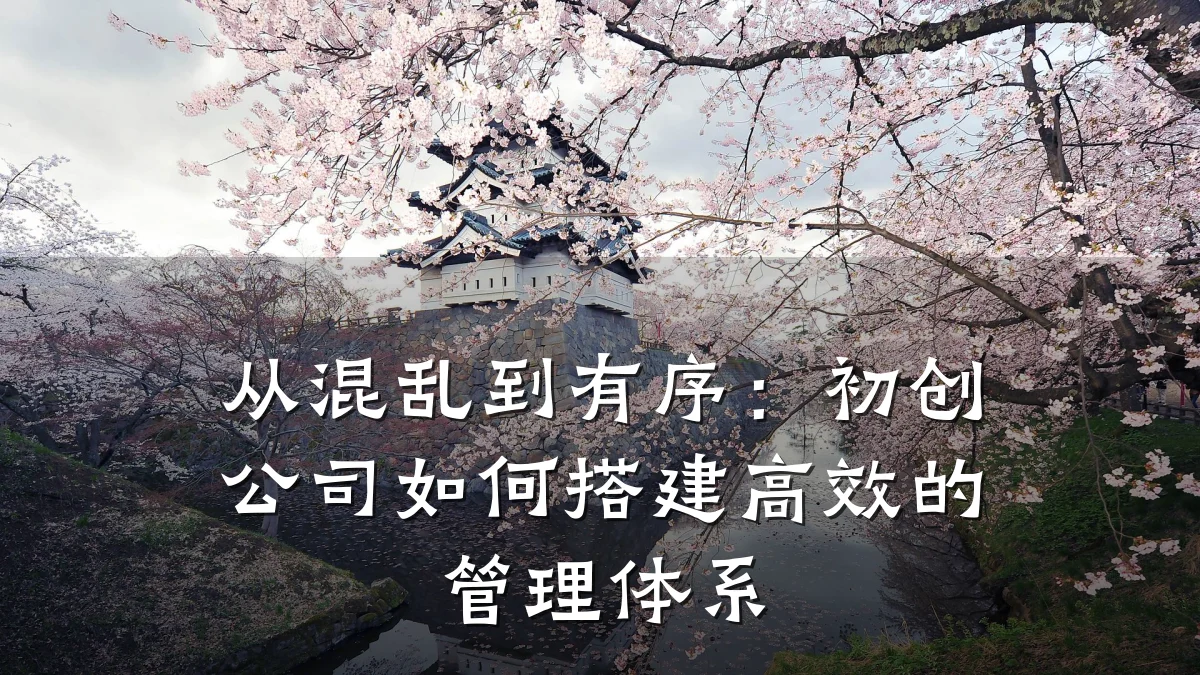 从混乱到有序:初创公司如何搭建高效的管理体系