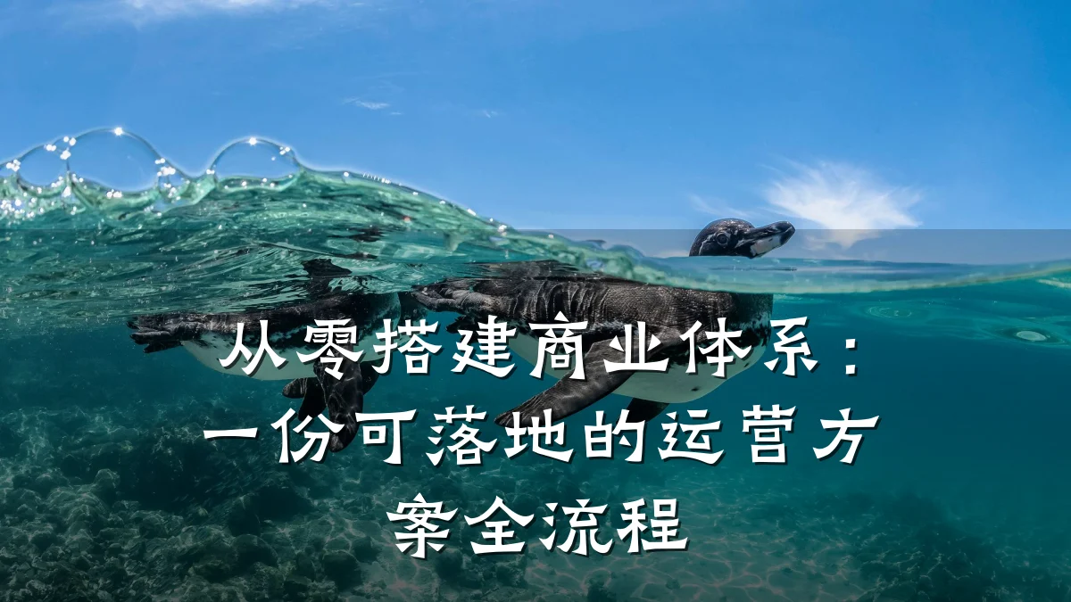 从零搭建商业体系:一份可落地的运营方案全流程