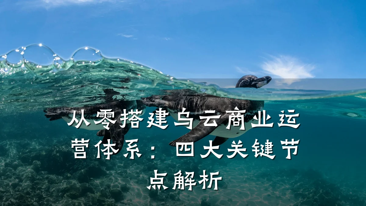 从零搭建乌云商业运营体系:四大关键节点解析