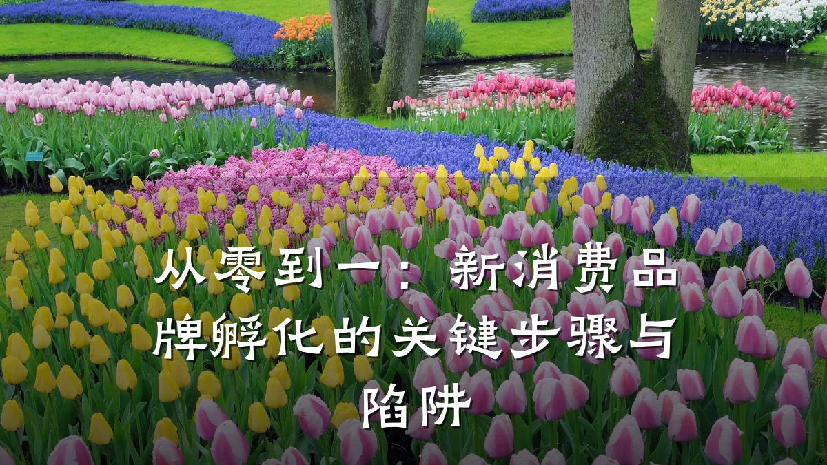 从零到一:新消费品牌孵化的关键步骤与陷阱