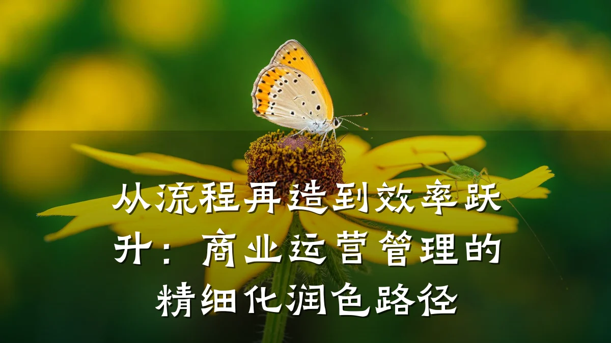从流程再造到效率跃升:商业运营管理的精细化润色路径