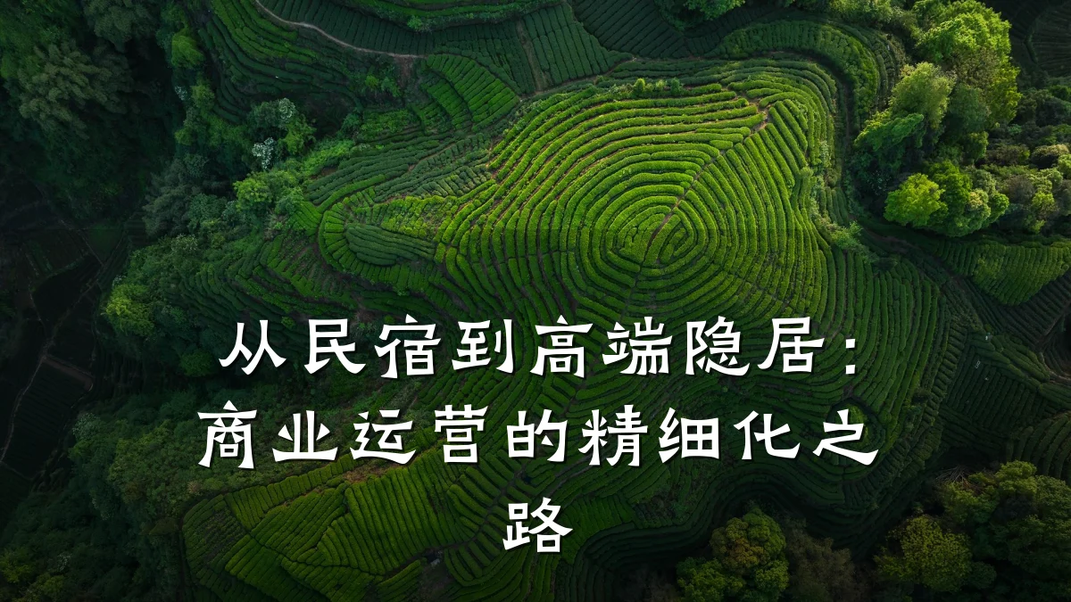 从民宿到高端隐居:商业运营的精细化之路