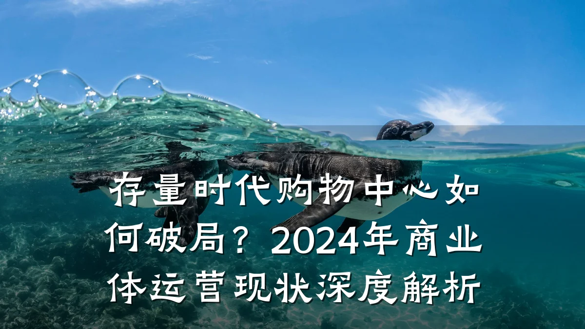 存量时代购物中心如何破局?2024年商业体运营现状深度解析