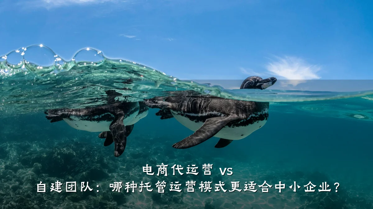 电商代运营 vs 自建团队:哪种托管运营模式更适合中小企业?
