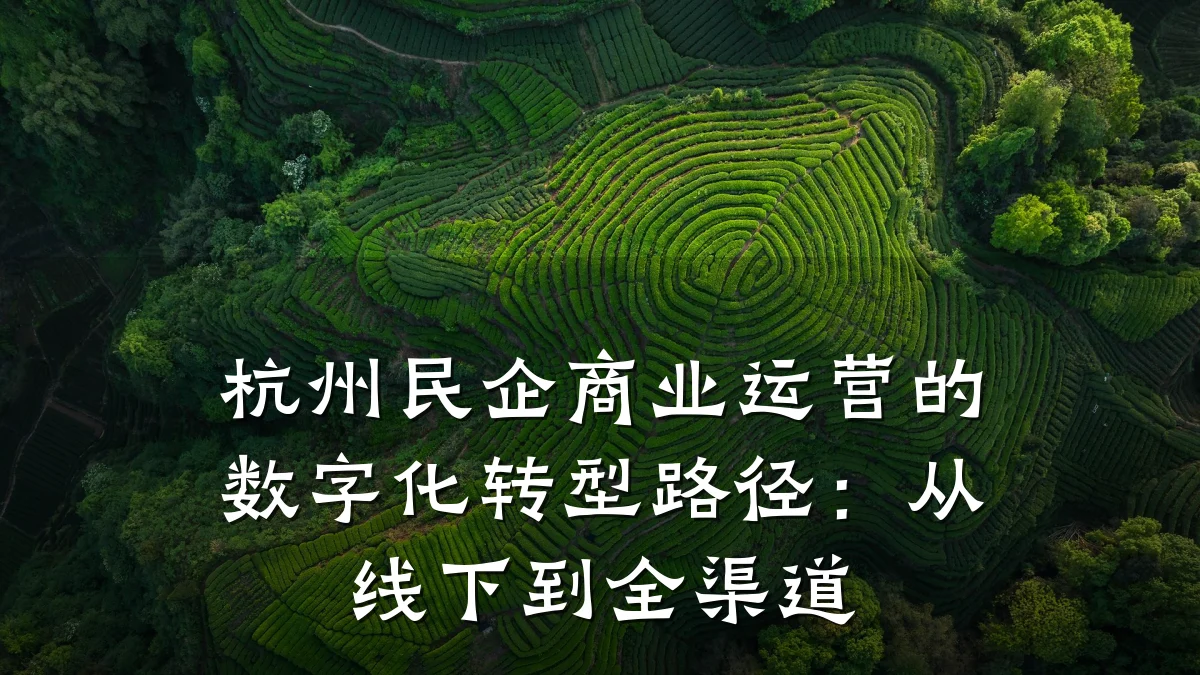 杭州民企商业运营的数字化转型路径:从线下到全渠道