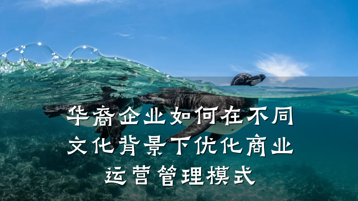 华裔企业如何在不同文化背景下优化商业运营管理模式