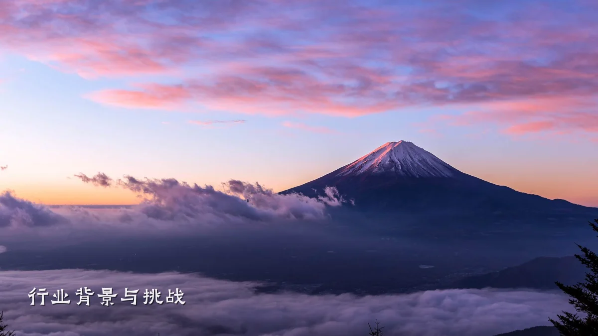 行业背景与挑战
