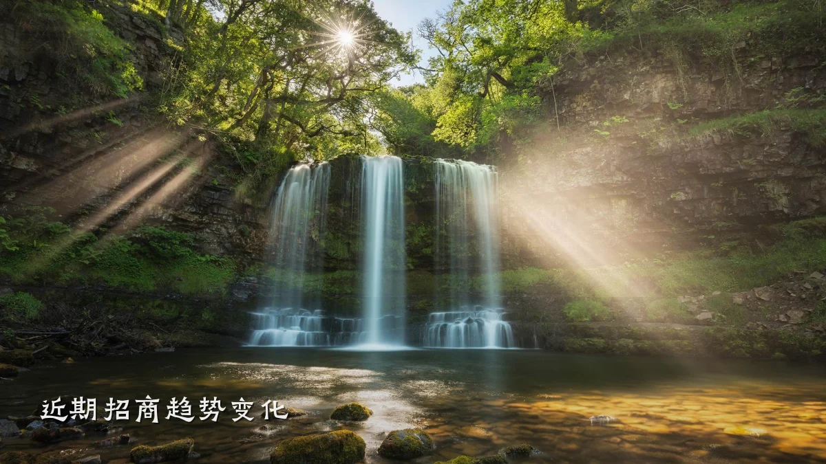 近期招商趋势变化