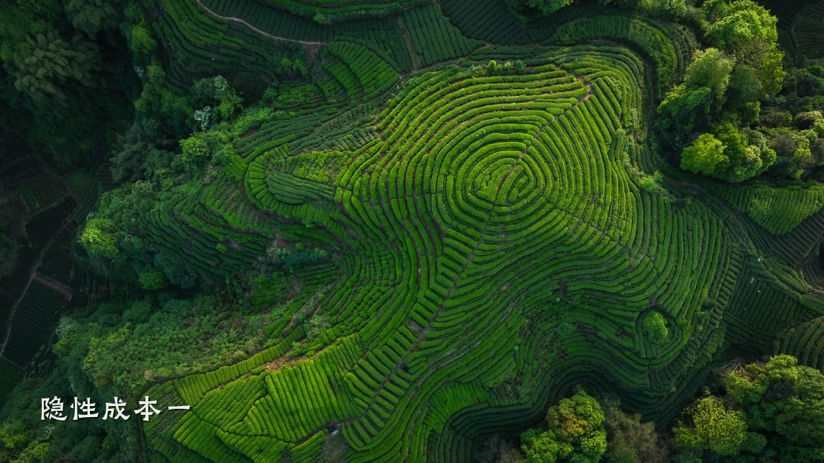 隐性成本一
