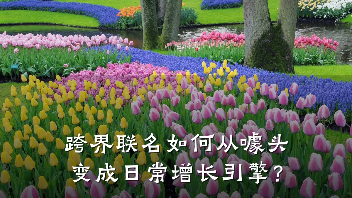 跨界联名如何从噱头变成日常增长引擎?