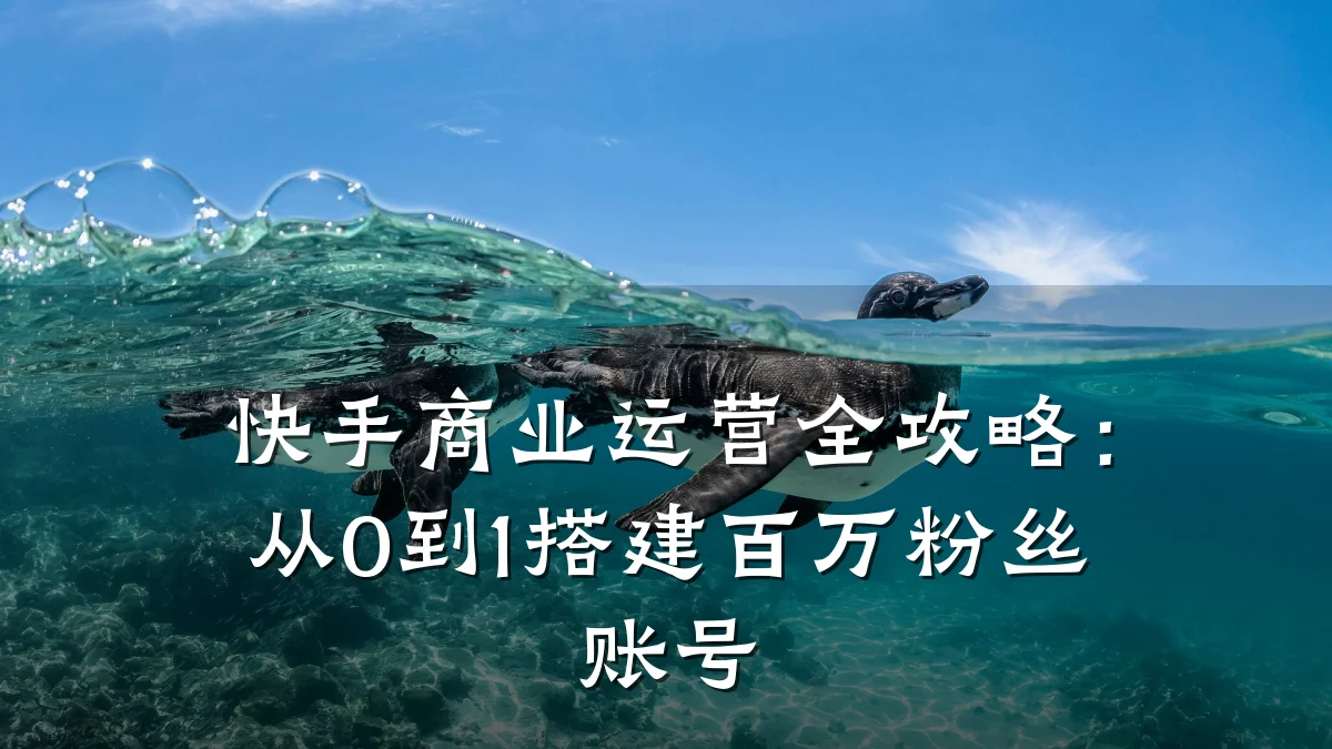 快手商业运营全攻略:从0到1搭建百万粉丝账号