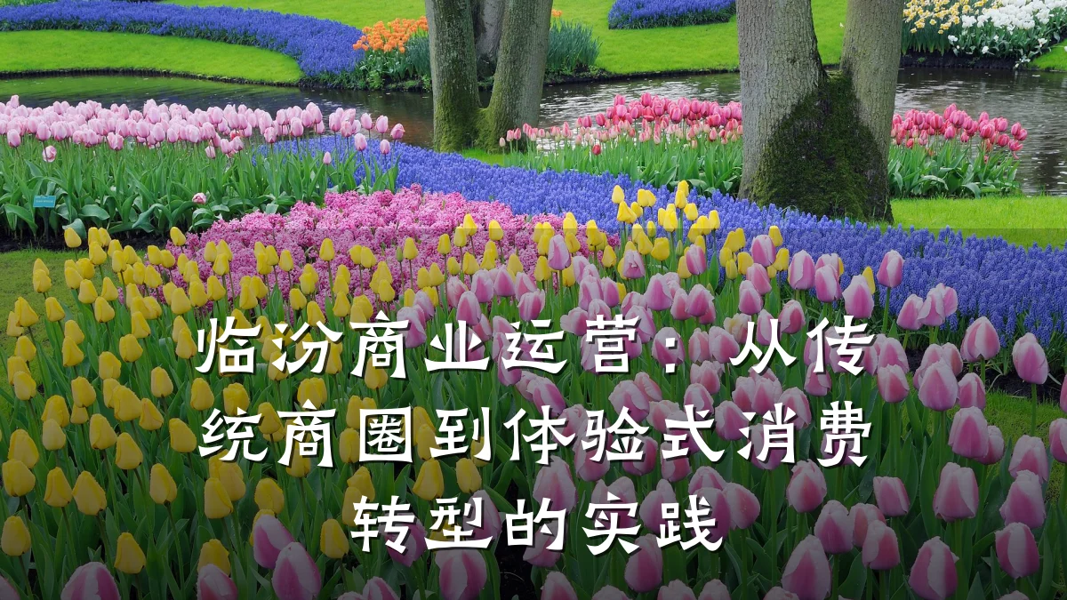 临汾商业运营:从传统商圈到体验式消费转型的实践
