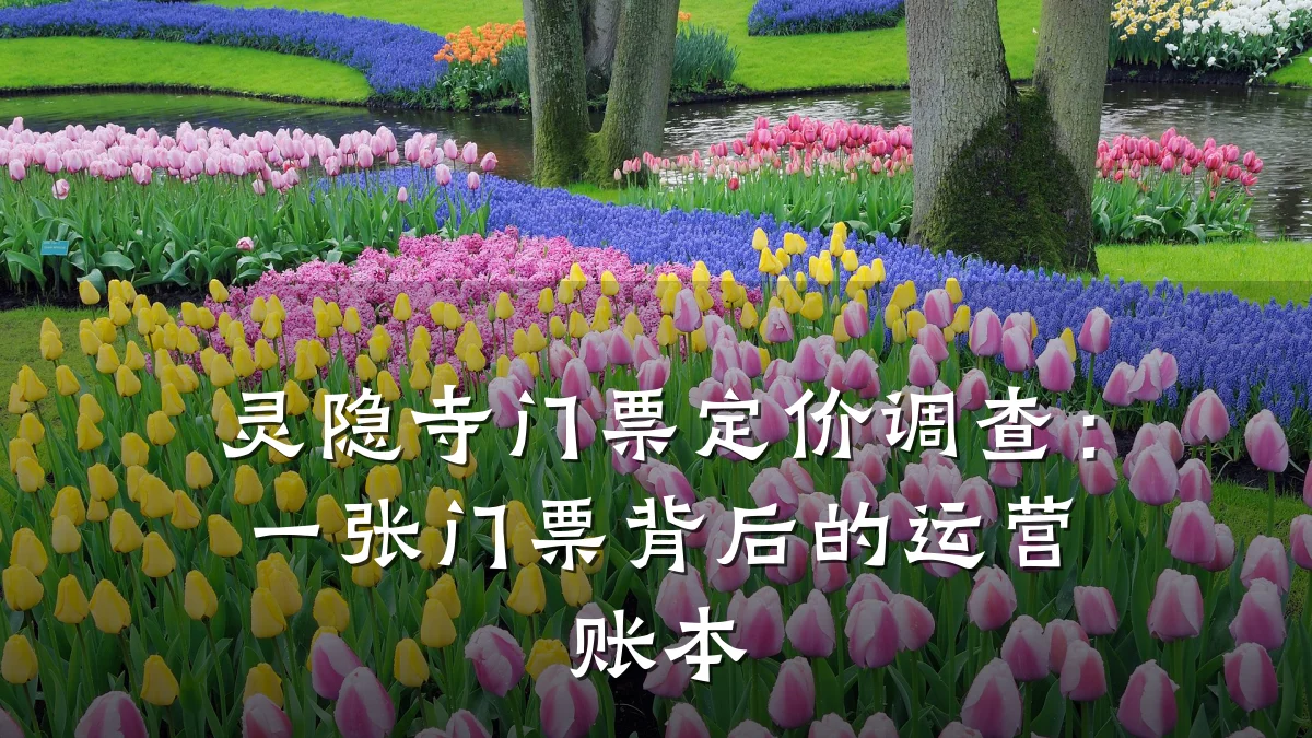 灵隐寺门票定价调查:一张门票背后的运营账本