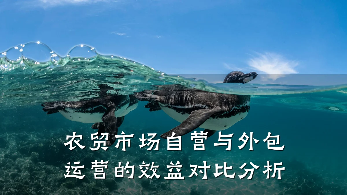 农贸市场自营与外包运营的效益对比分析