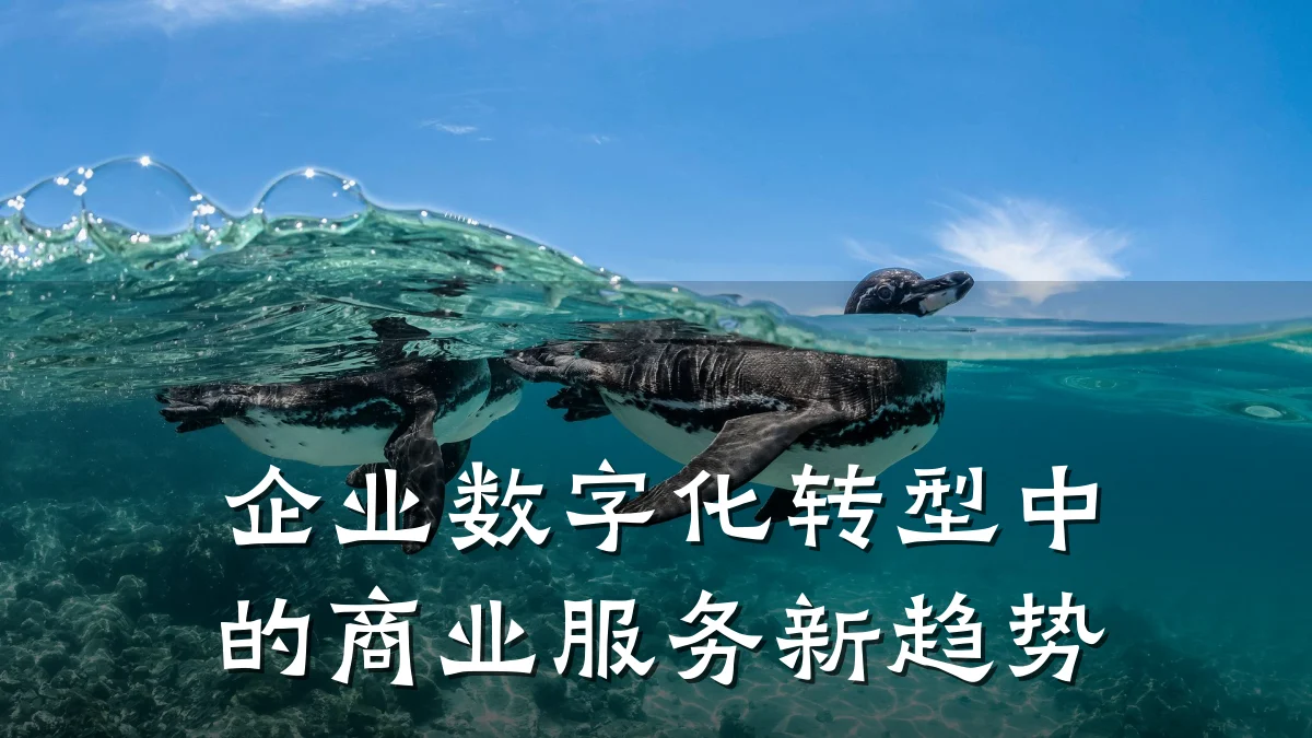 企业数字化转型中的商业服务新趋势