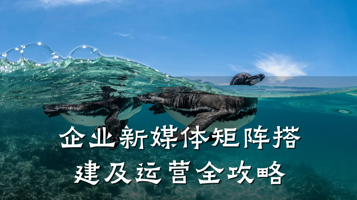 企业新媒体矩阵搭建及运营全攻略