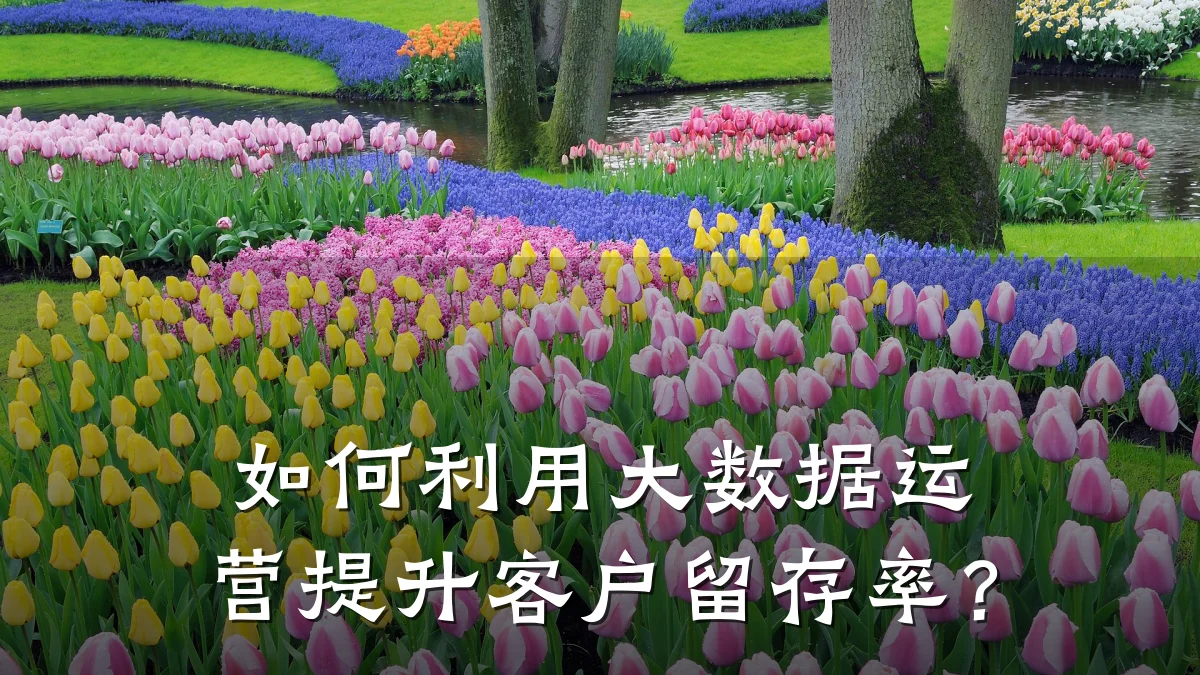 如何利用大数据运营提升客户留存率?