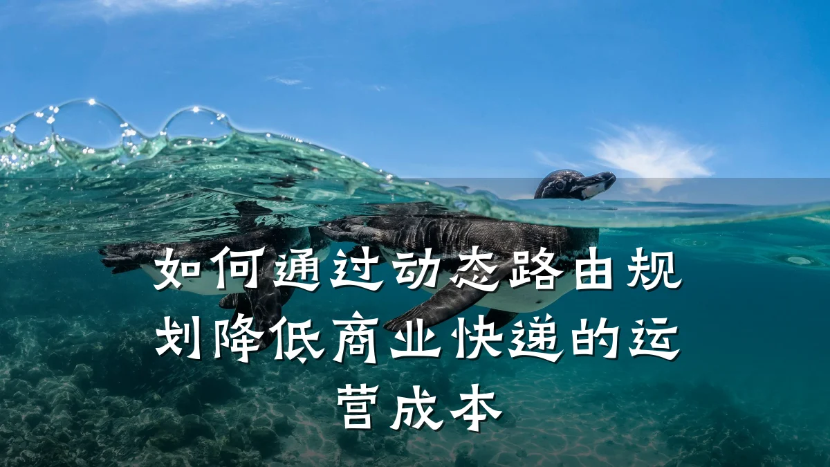 如何通过动态路由规划降低商业快递的运营成本