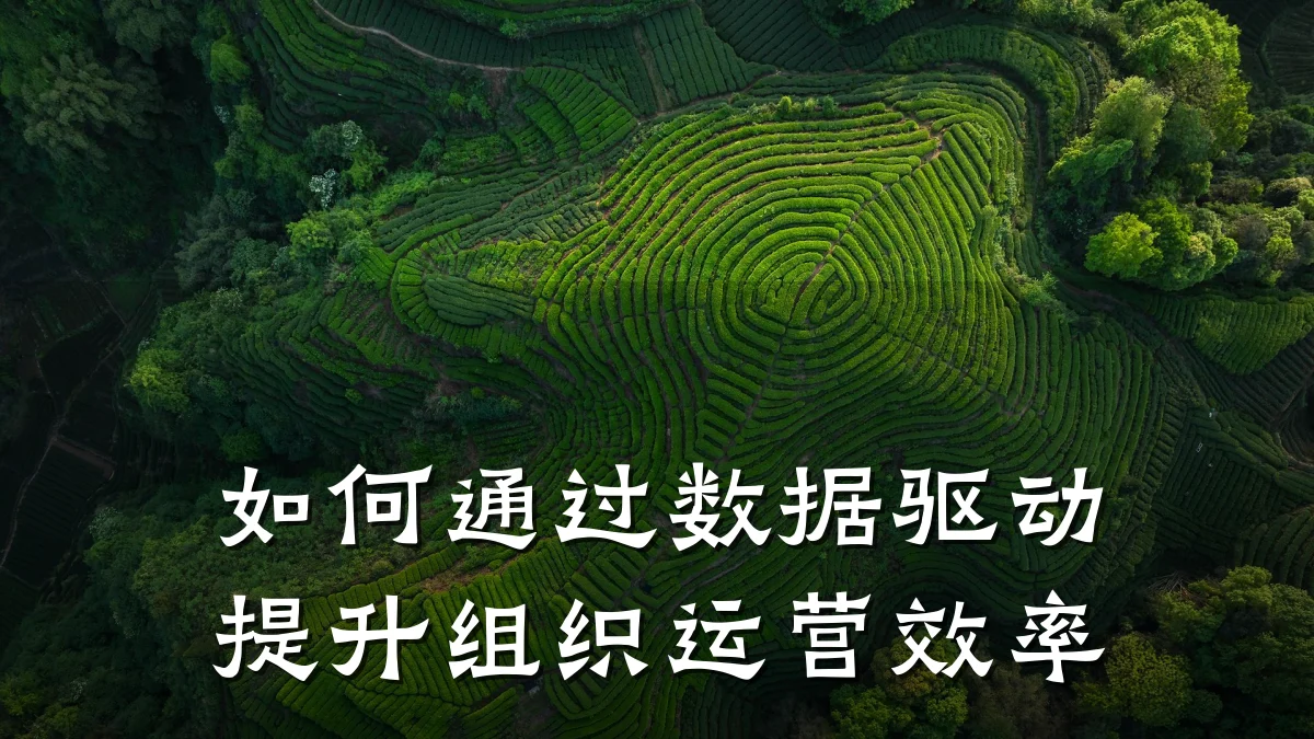 如何通过数据驱动提升组织运营效率