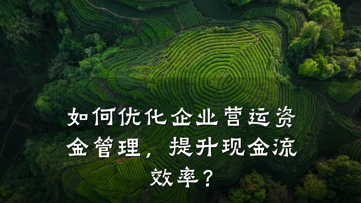 如何优化企业营运资金管理,提升现金流效率?