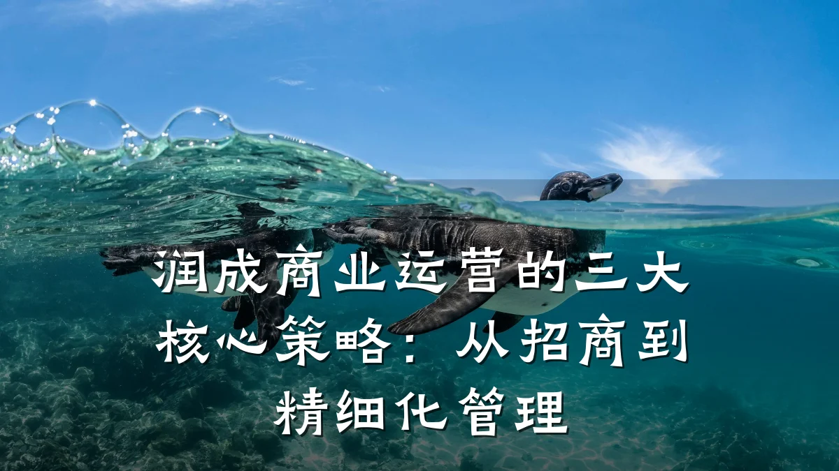 润成商业运营的三大核心策略:从招商到精细化管理