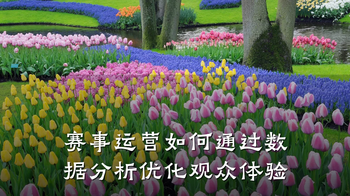 赛事运营如何通过数据分析优化观众体验