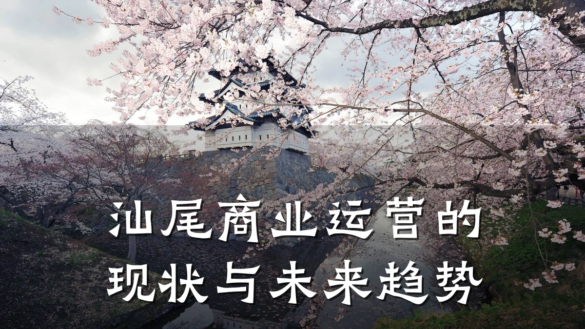 汕尾商业运营的现状与未来趋势