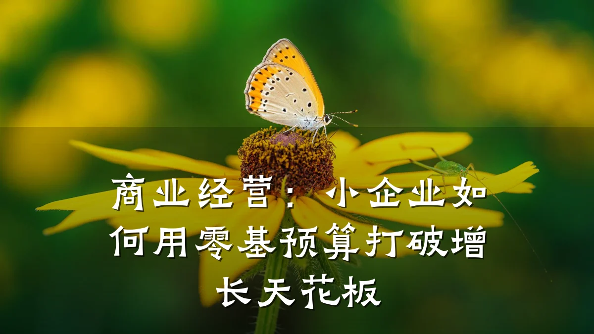 商业经营:小企业如何用零基预算打破增长天花板