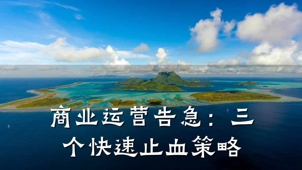商业运营告急:三个快速止血策略