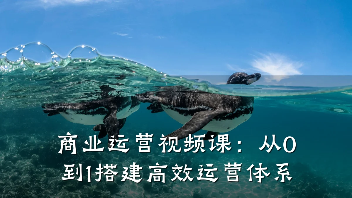 商业运营视频课:从0到1搭建高效运营体系