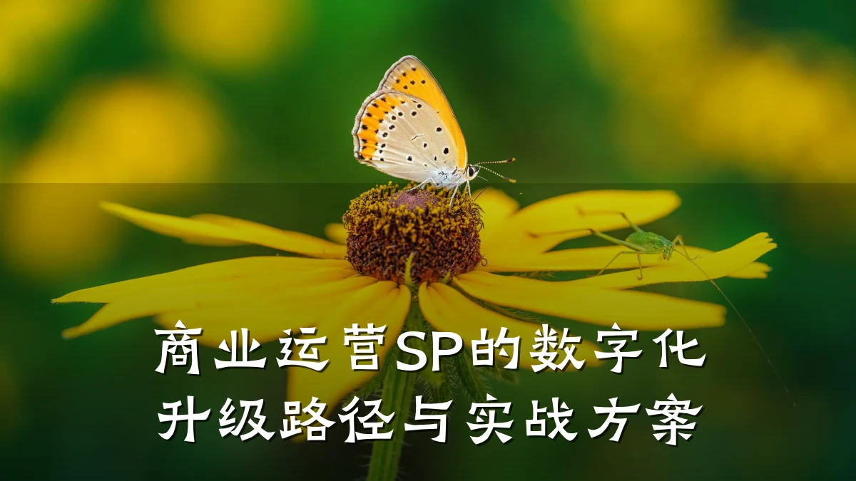 商业运营SP的数字化升级路径与实战方案